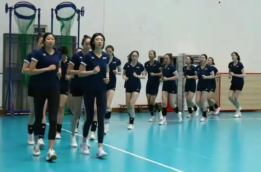 女排官方极